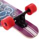 Лонгборд Fish Skateboards 38" Octopus (ls106)