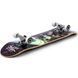 Скейт для трюків Enuff Skully Hologram Black  st702 фото 3