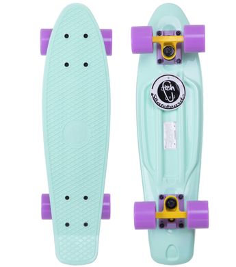 Скейт пенни борд Fish Skateboards цвет Ментол 1