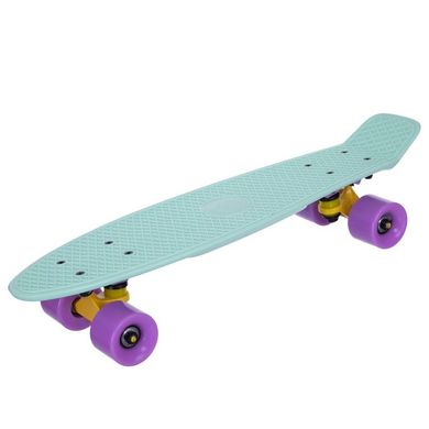 Скейт пенни борд Fish Skateboards цвет Ментол 2