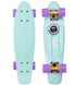 Скейт пенні борд Fish Skateboards Mint 57см (pb30)