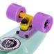 Скейт пенни борд Fish Skateboards Mint 57см (pb30)