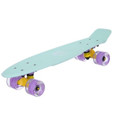 Пенни борд Fish Skateboards со светящимися колесами цвет Ментол 3