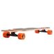 Лонгборд Fish Skateboards 38" Skull & Rose (ls107)