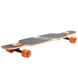 Лонгборд Fish Skateboards 38" Skull & Rose (ls107)