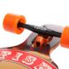 Лонгборд Fish Skateboards 38" Skull & Rose (ls107)