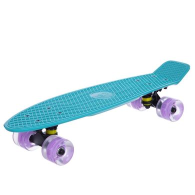 Пенні борд Fish Skateboards з світящими колесами колір Бірюзовий 3