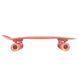 Penny Board Australia Original - CORAL 22" 54 см (op108)