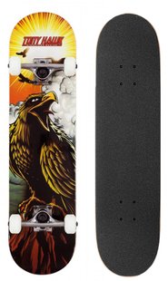 Скейты Tony Hawk SS 180 Complete Multi 7.75'' цвет Коричневый 1