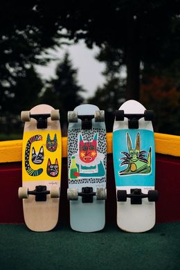 Круизер скейт Landyachtz Dinghy 28.5'' цвет Белый 8