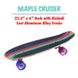 Пенні борд круізер Wipeout Skateboard Rainbow (pb66)