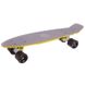 Пенні борд Fish Skateboards Twin Сіро-Жовтий 57см (pb47)