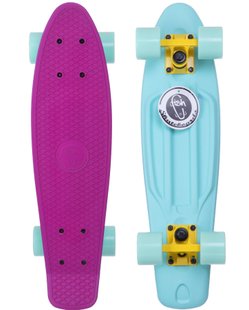 Пенні борд Fish Skateboards Twin колір Ментол 1