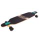 Лонгборд Fish Skateboards 38" Rasta FreeRide (ls108)