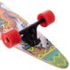 Лонгборд Fish Skateboards 40" Indian Girl (ls101)