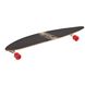 Лонгборд Fish Skateboards 40" Indian Girl (ls101)