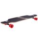 Лонгборд Fish Skateboards 38" Sulley (ls104)