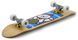 Скейтборд для трюків Enuff Lucky Cat  dk444 фото 4
